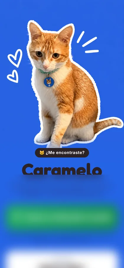 Placa de Caramelo