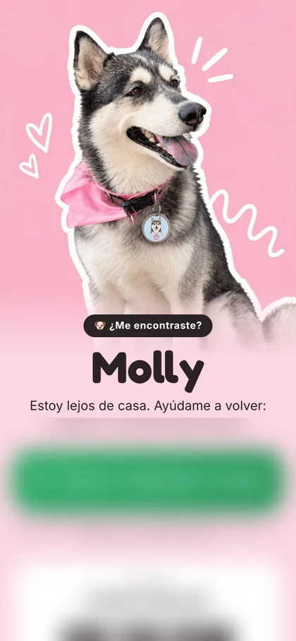 Placa de Molly