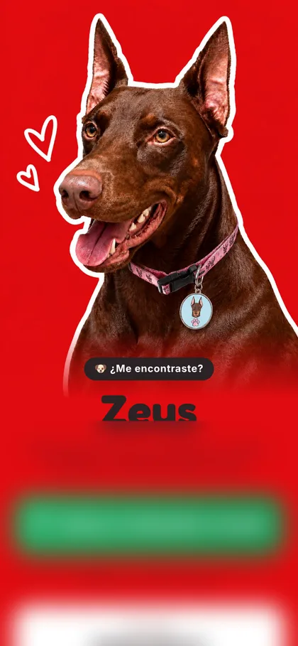 Placa de Zeus